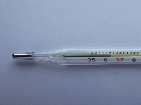 temperature thermometer