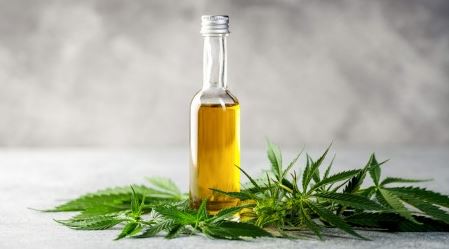 cannabis oil