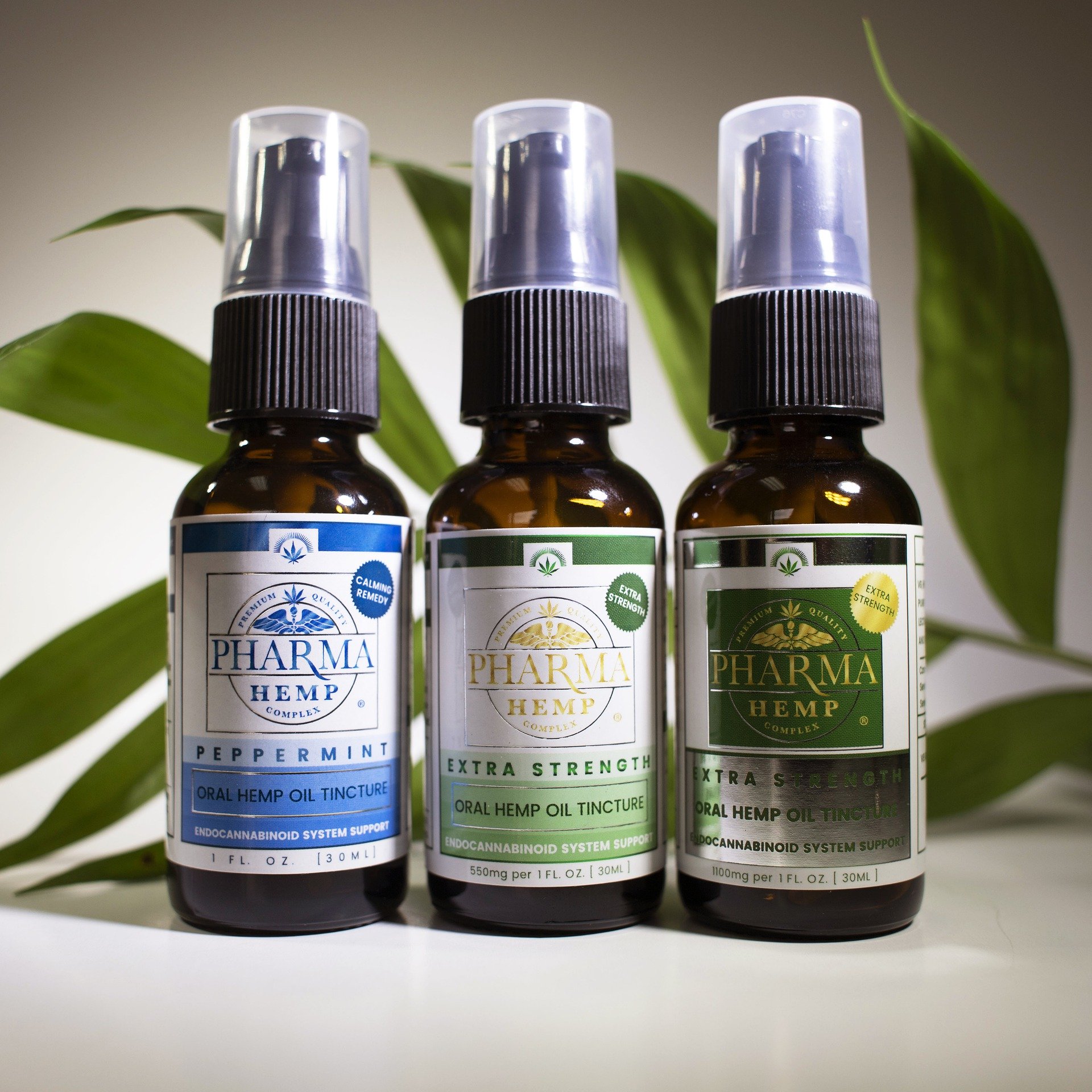 CBD Boosts GABA Activity