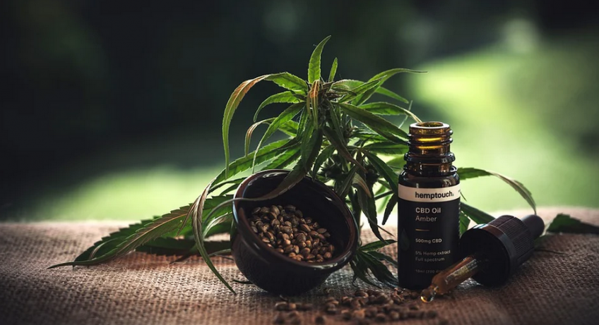 cbd oil