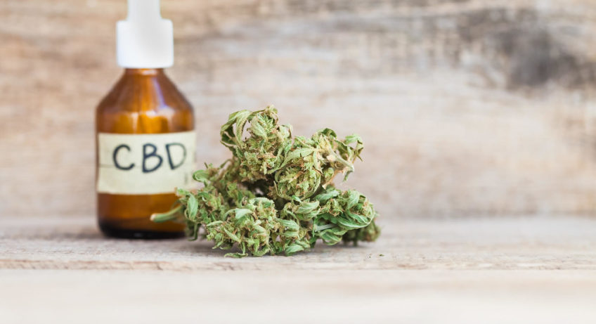 CBD OIl