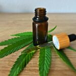 The Future of CBD in Seizure and Epilepsy Treatment